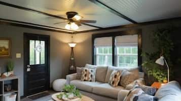 Smart TV, chimenea y libros