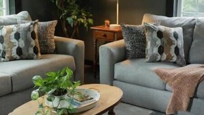 A living room with two sofas, a coffee table, a lamp, and a large plant. - Mountain Cabin in Jamestown (Jamestown)