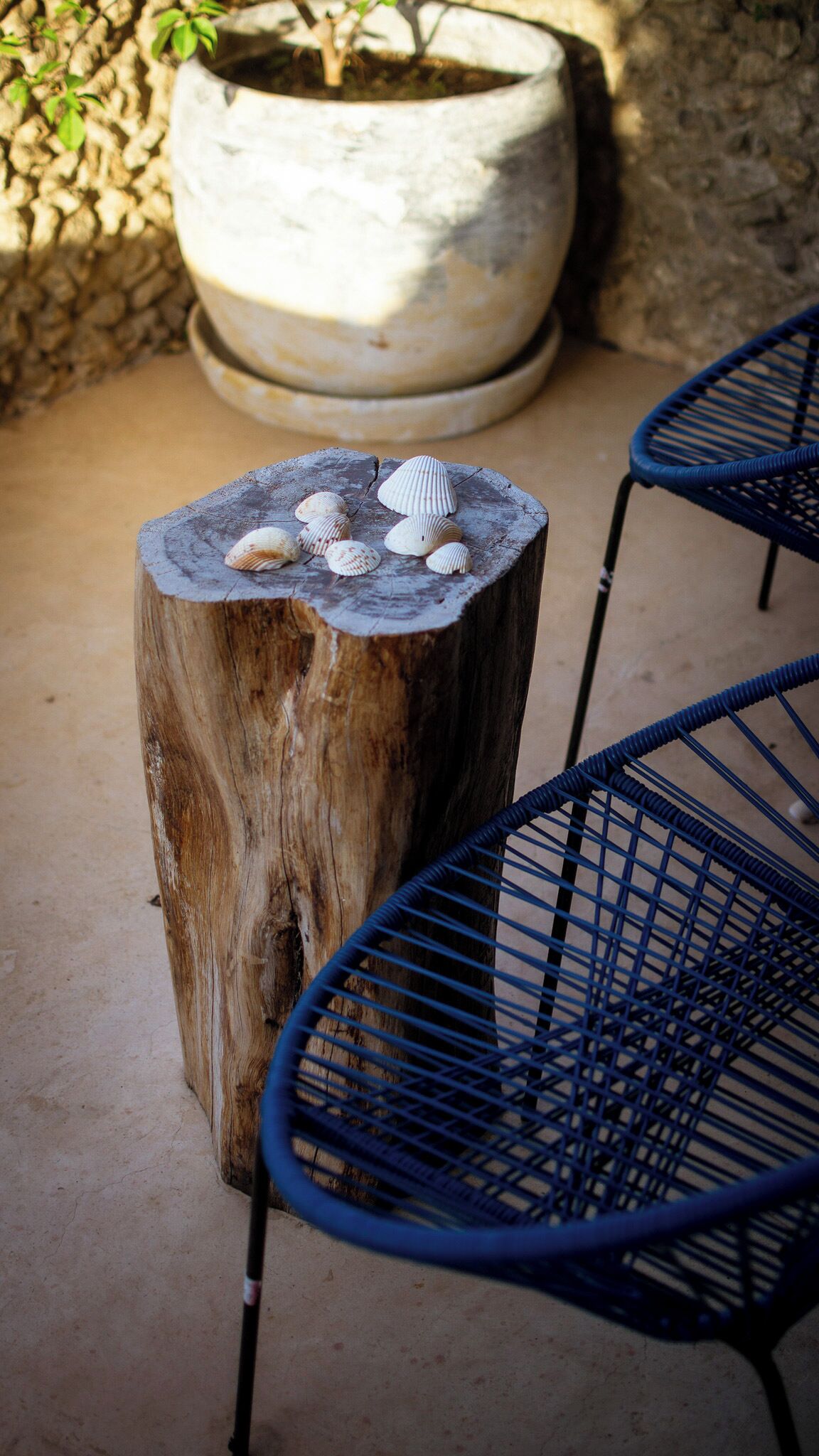 A wooden stump with seashells, a blue metal chair, and a potted plant in the background.