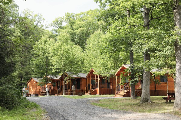 A row of wooden cabins with a gravel driveway leading to the entrance, surrounded by dense trees.