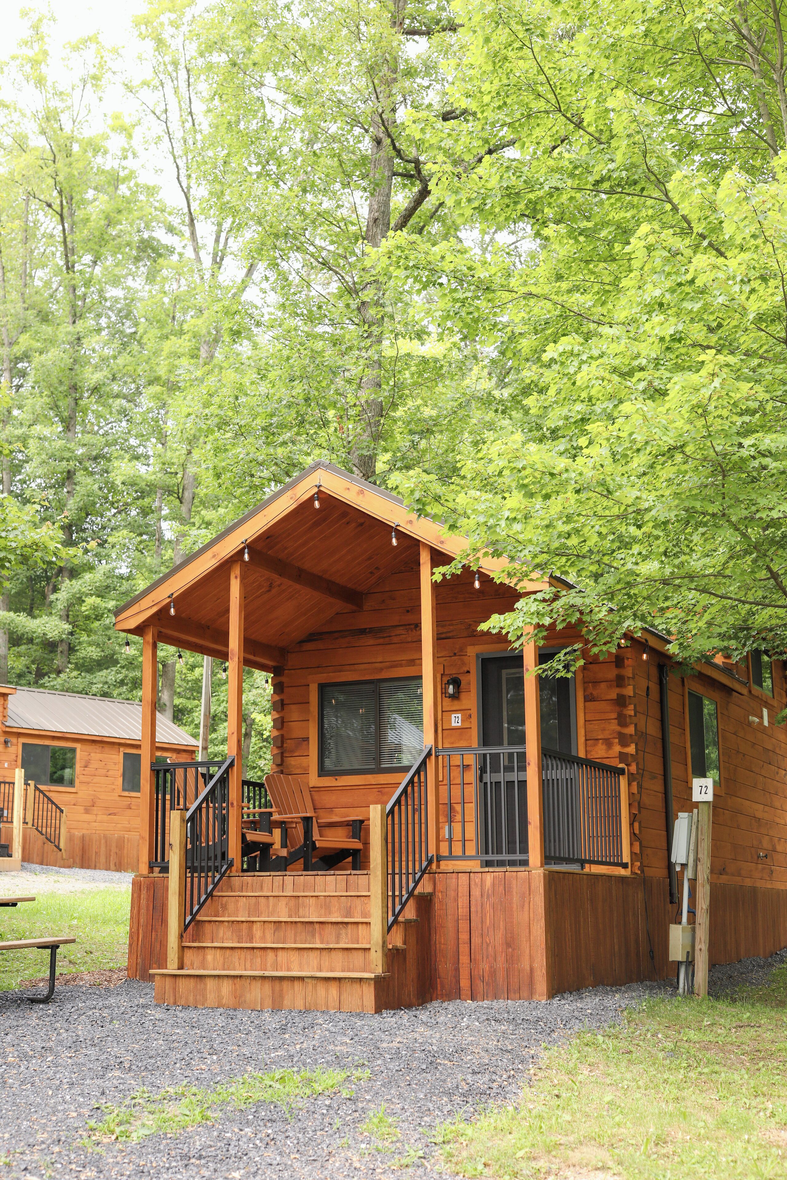 Deluxe Cabin | View from room