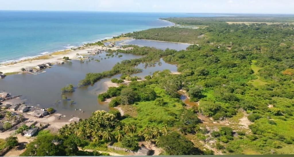 Luftaufnahme einer Küstenlandschaft mit Strand, Lagune und dichter Vegetation.