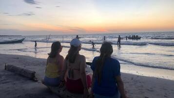 Am Strand, Strandbar