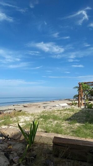 En la playa y bar en la playa 