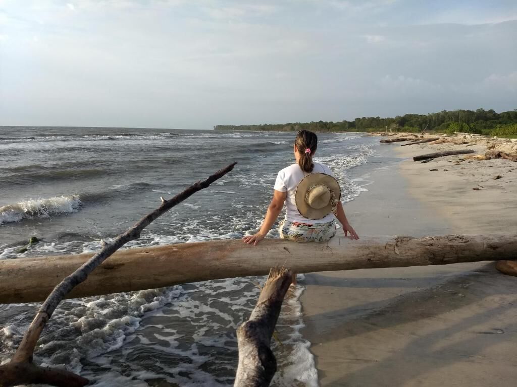 Une personne assise sur une bûche, au bord de la plage.