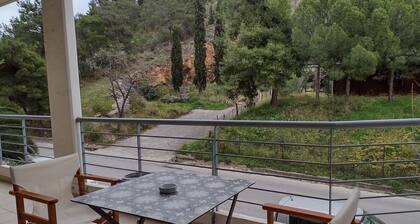 Cynthia Comfort Living