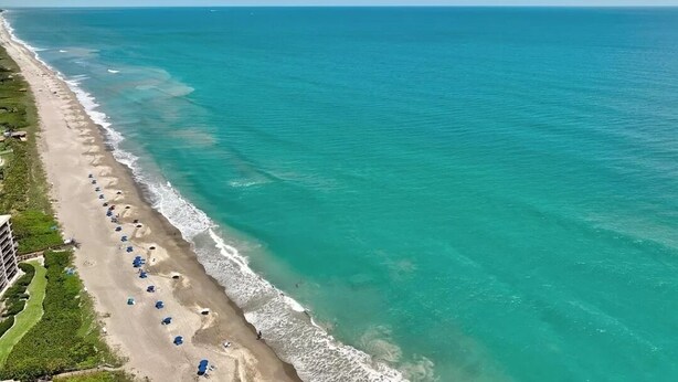 Vista aérea de una playa con una fila de sombrillas y un edificio cerca de la orilla.