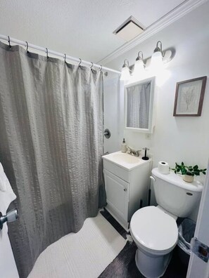 Secadora de cabello, toallas, shampoo 