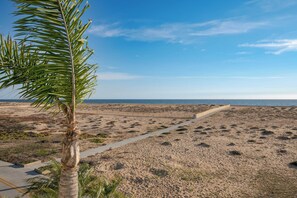 Una playa con una palmera, un sendero de hormigón y un paisaje arenoso.