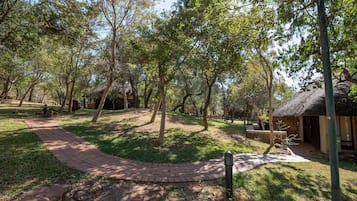 Terrein van de accommodatie