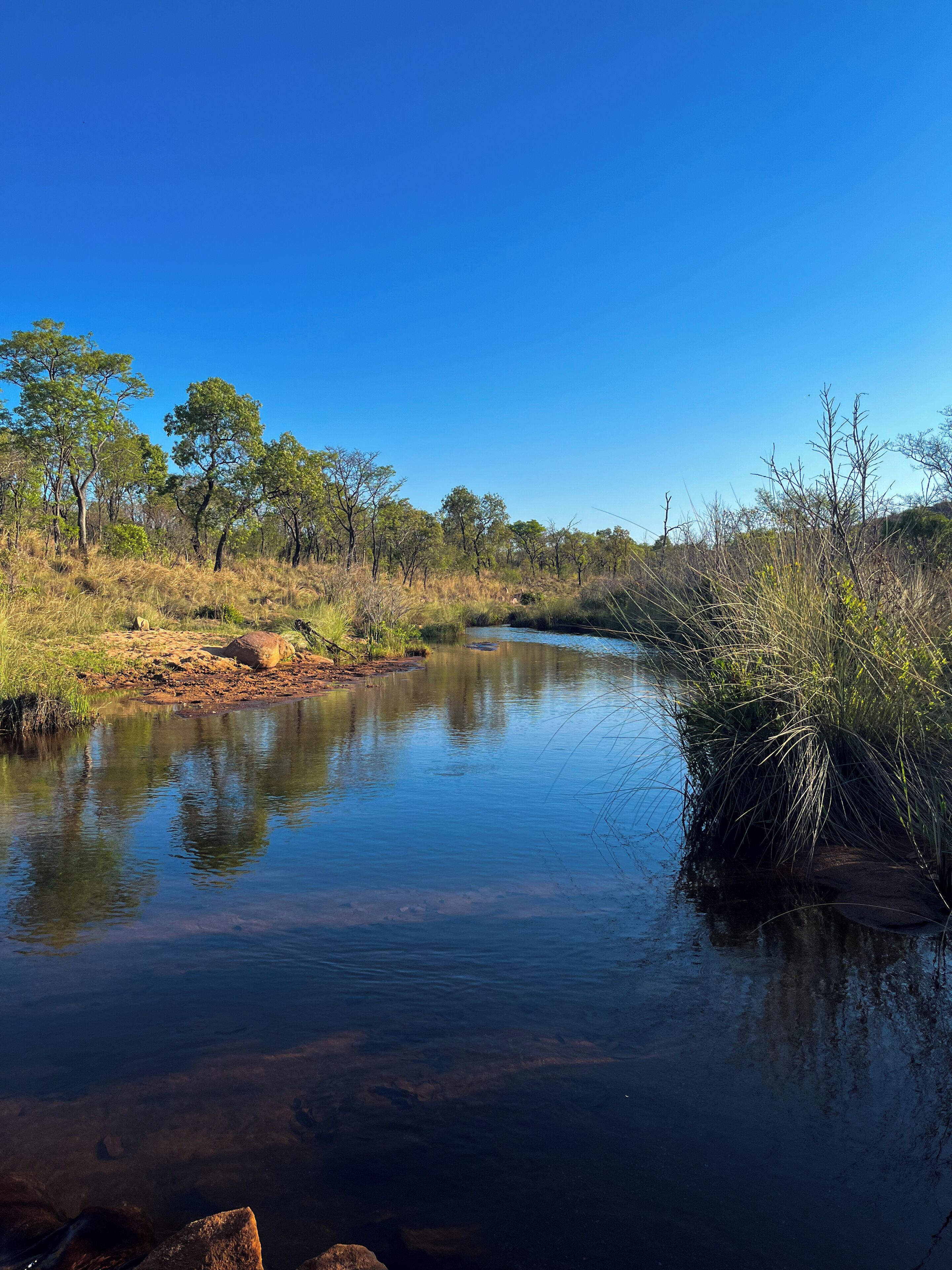 A calm river surrounded by trees and dry grass.