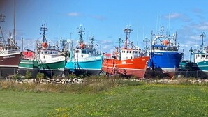 Både ligger ved kaj i en lysthavn.