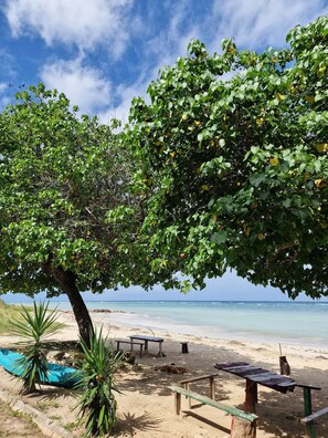 Accommodatie ligt op het strand