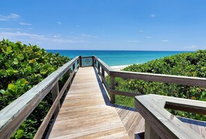 Property grounds - Tranquility Octopus Suite - Oceanfront Paradise! (Melbourne Beach)