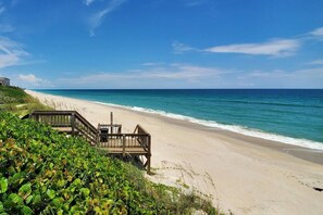 Beach - Tranquility Octopus Suite - Oceanfront Paradise! (Melbourne Beach)