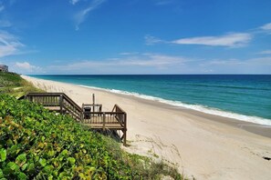 Beach - Tranquility Pelican Suite - Oceanfront Paradise! (Melbourne Beach)
