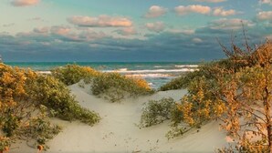 A beach with sand dunes and sparse vegetation. - Pet Friendly - 3 BR 3.5 BA  Pool  Garage 2 Balconies  2 blocks to Beach!! (Corpus Christi)