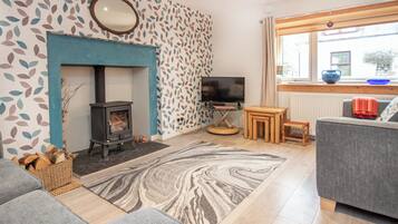 TV, fireplace