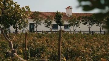 Áreas de la propiedad