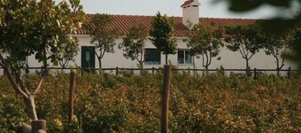 Traditional house located inside an biodynamic tea farm, 20km from Évora.