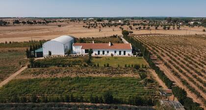 Traditional house located inside an biodynamic tea farm, 20km from Évora.