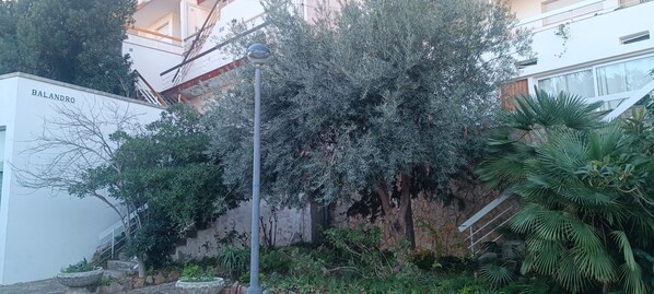 Un bâtiment appelé BALANDRO, doté d’un escalier, d’un lampadaire et de diverses plantes.
