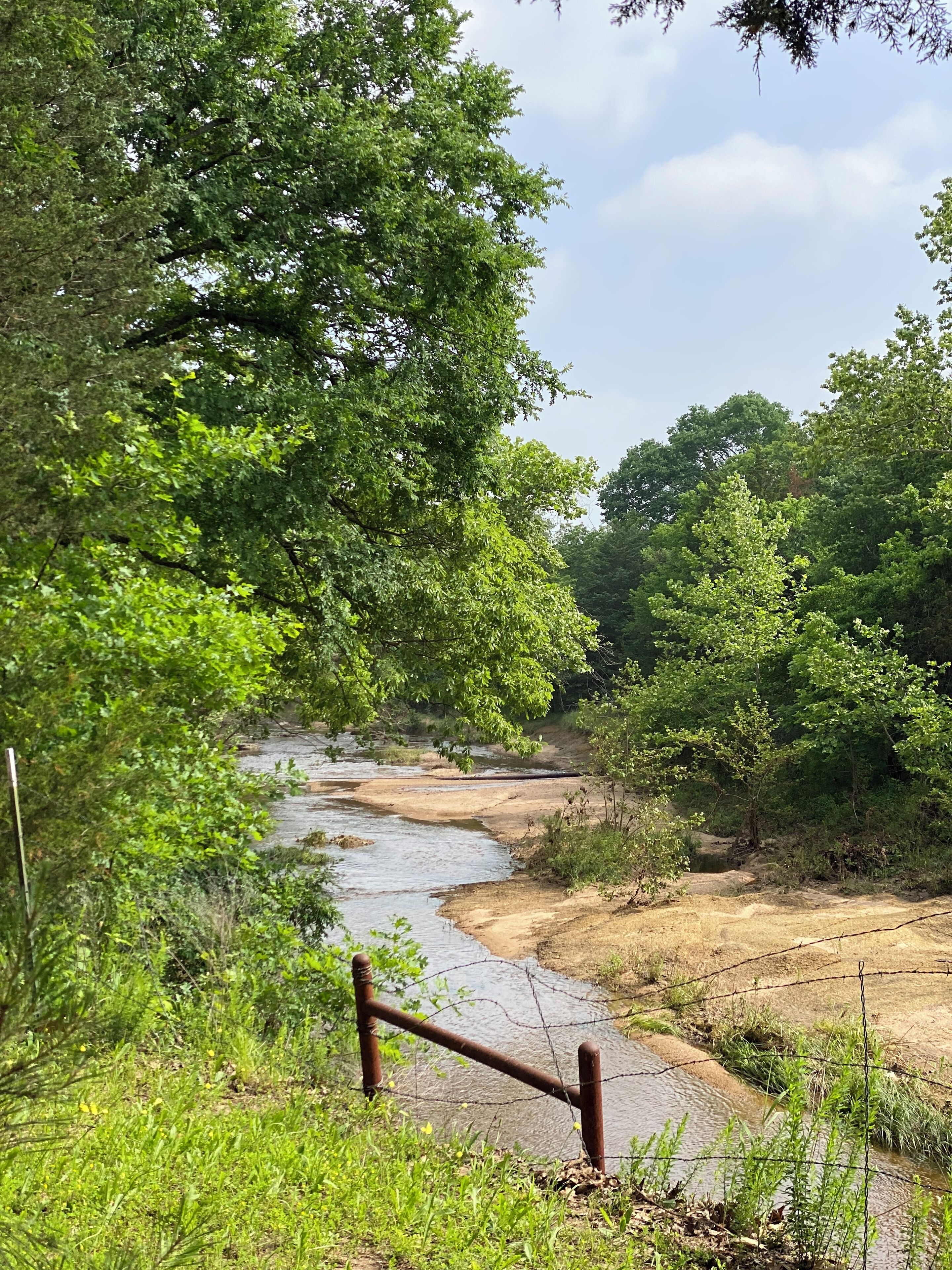 Un paisaje natural con un río, abundante vegetación y una valla de madera.