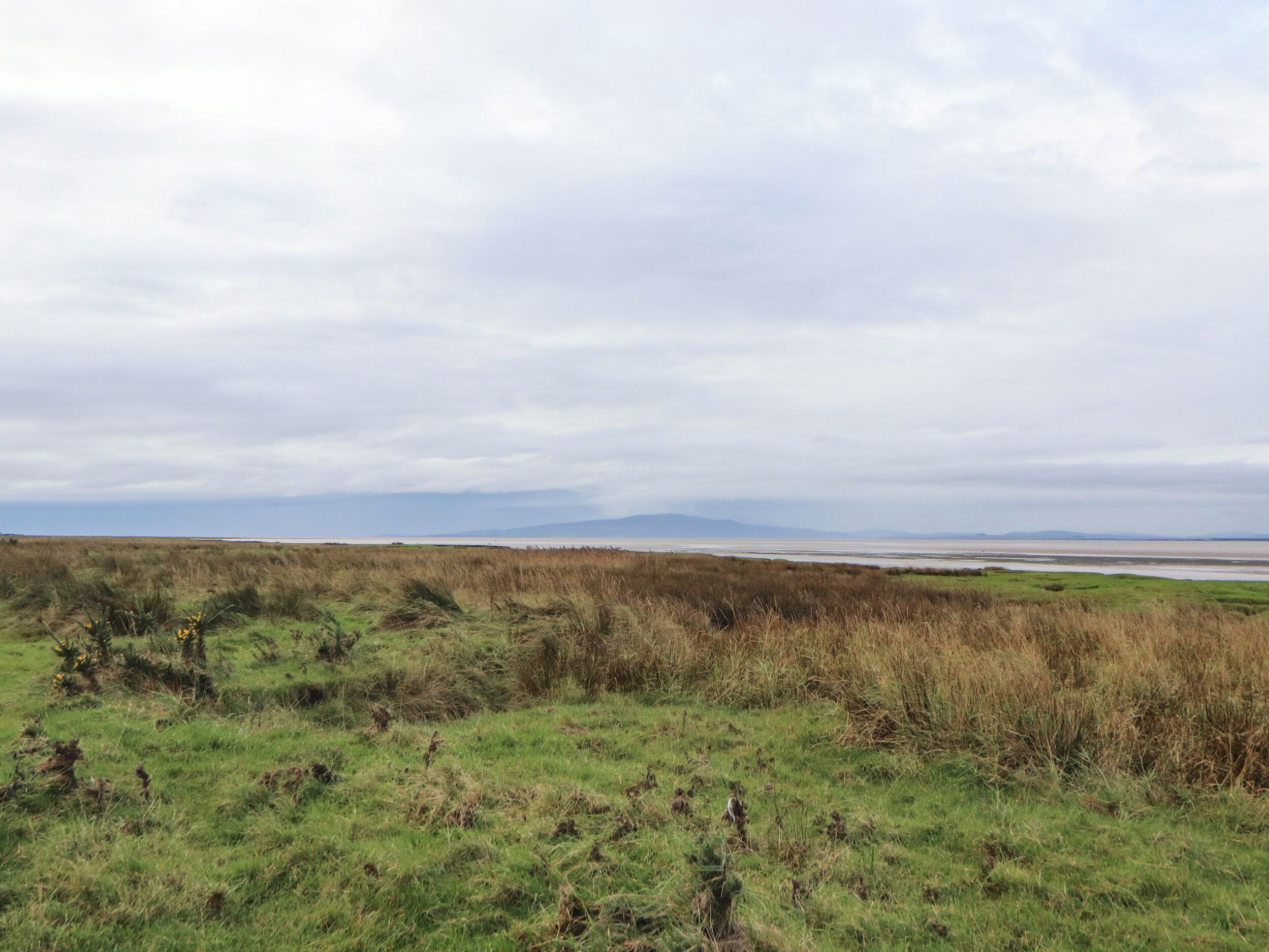 A flat, open landscape with grassy fields and distant hills under a cloudy sky.