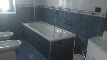 Bañera y ducha independientes, secador de pelo, bidet