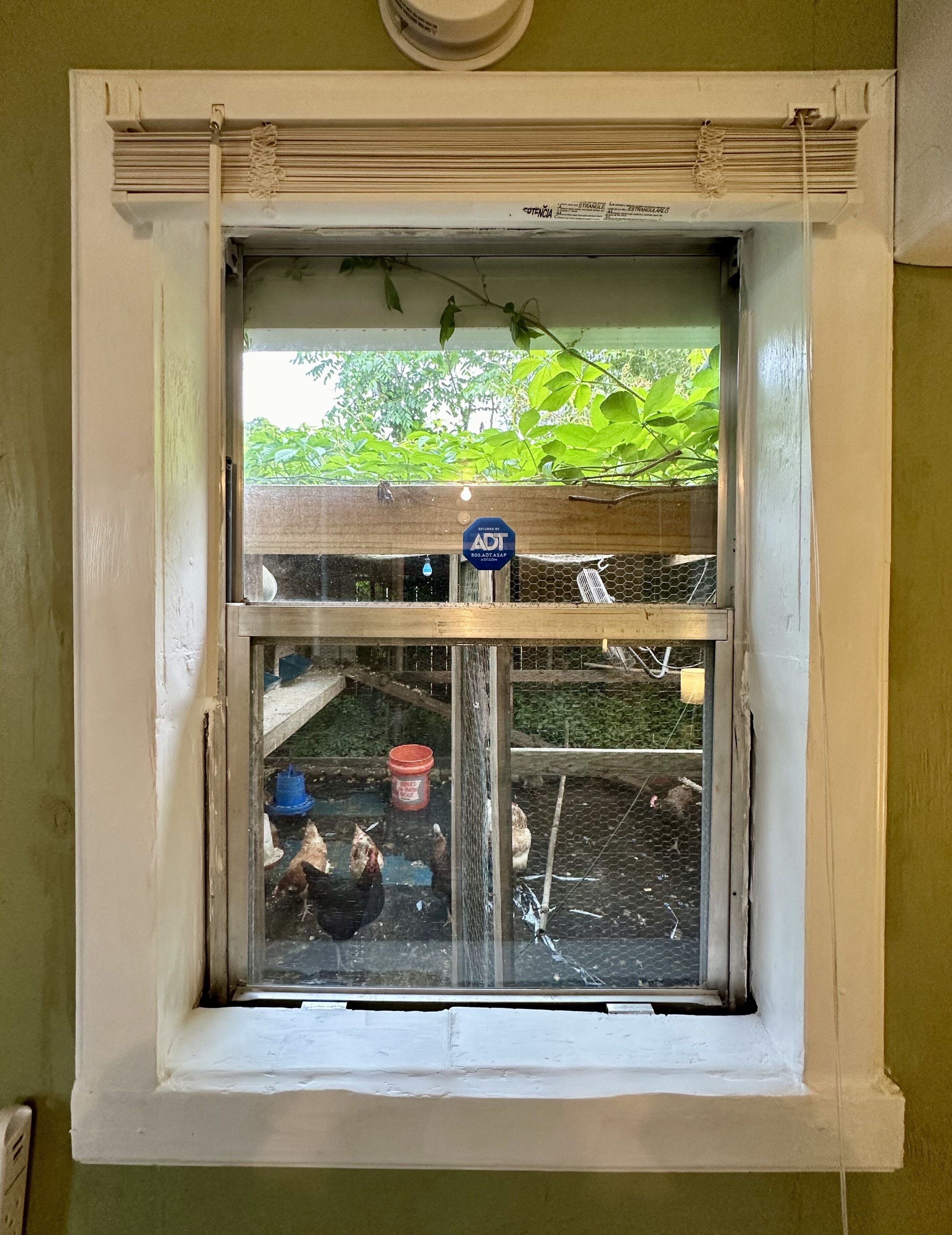 Une fenêtre donnant sur un poulailler et une structure en bois à l’extérieur.