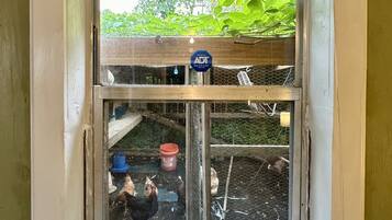 Une fenêtre donnant sur un poulailler et une structure en bois à l’extérieur.