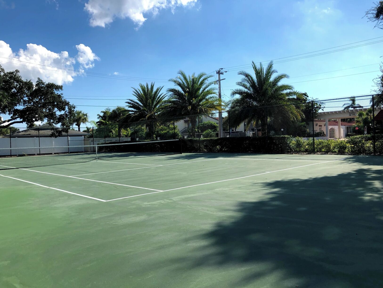 Un campo da tennis all'aperto con rete, circondato da palme e da una recinzione.