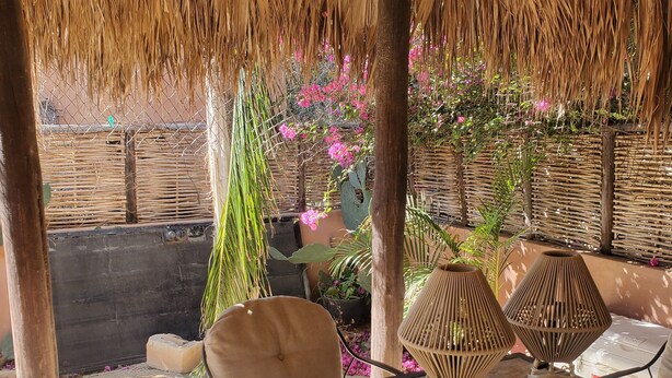 An outdoor seating area with wicker chairs and a table, surrounded by a thatched roof and potted plants.