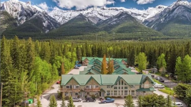 Un chalet doté d’un toit végétalisé, entouré d’une forêt dense et avec, en arrière-plan, des montagnes aux sommets enneigés.