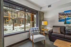 TV, fireplace, computer monitors