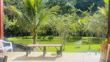 Área da propriedade