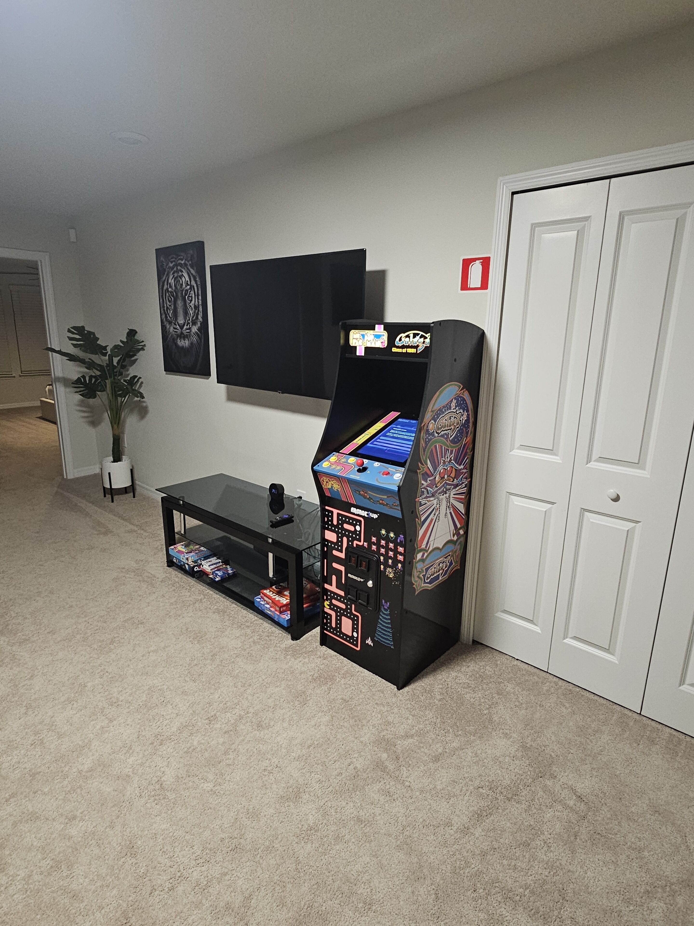 A room with a gaming arcade machine, a flat-screen TV, a potted plant, and a closed door.