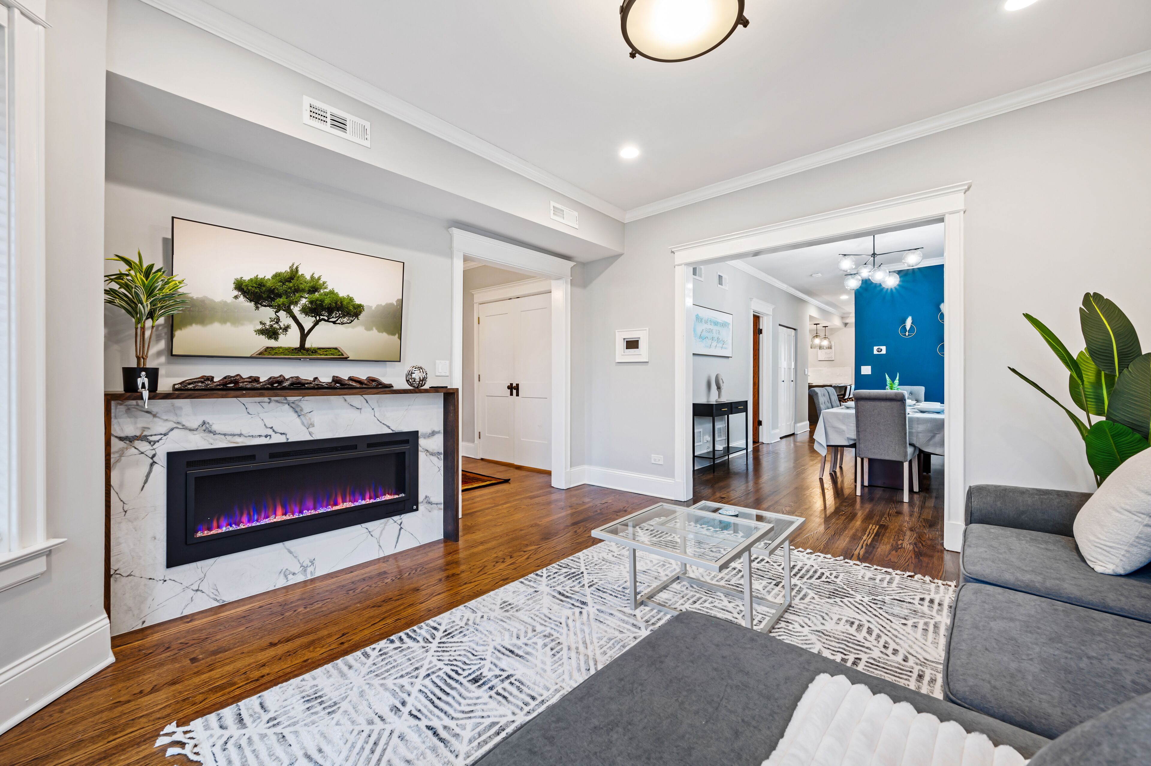 Smart TV, fireplace, books