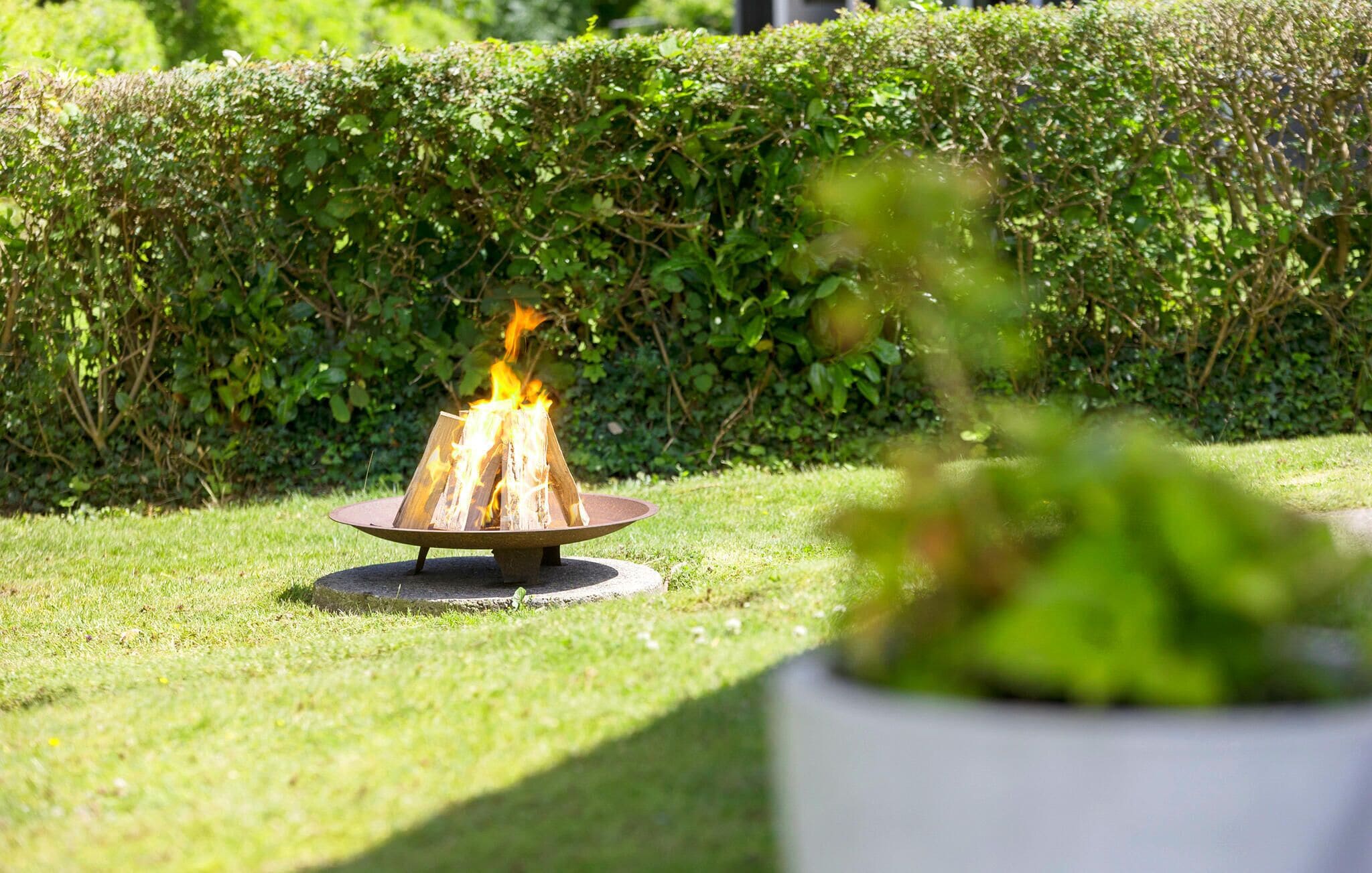 Un foyer extérieur dans un jardin, avec une haie en arrière-plan.