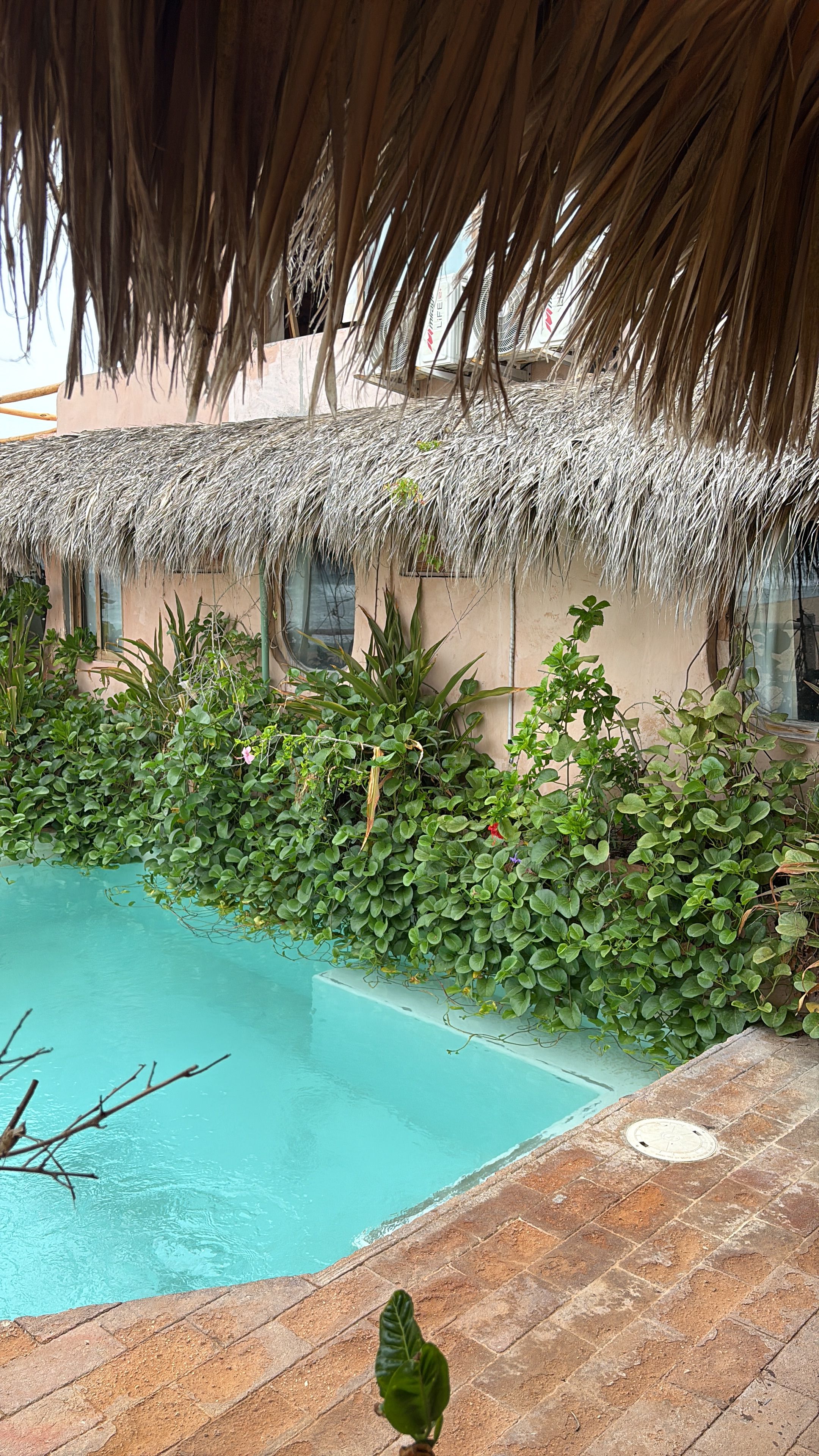 Una piscina con techo de paja, rodeada de abundante vegetación y un muro de ladrillo.