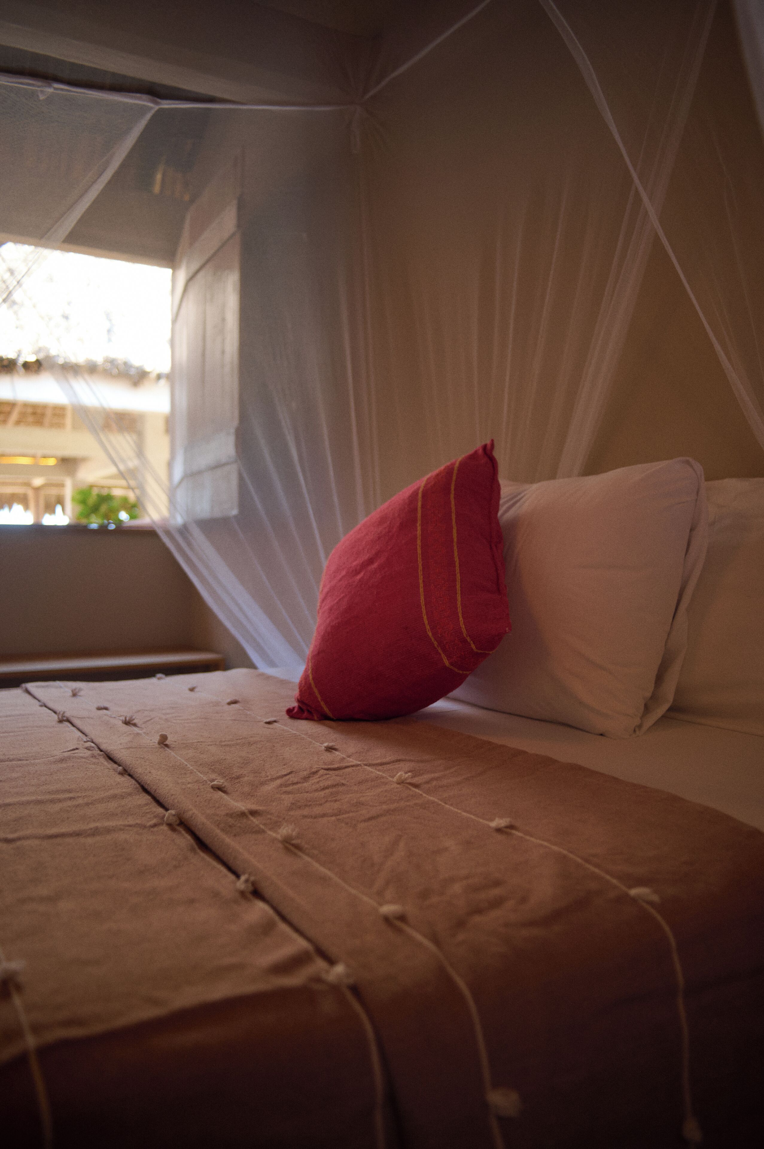 A bed with a mosquito net, a red pillow, and a white pillow.