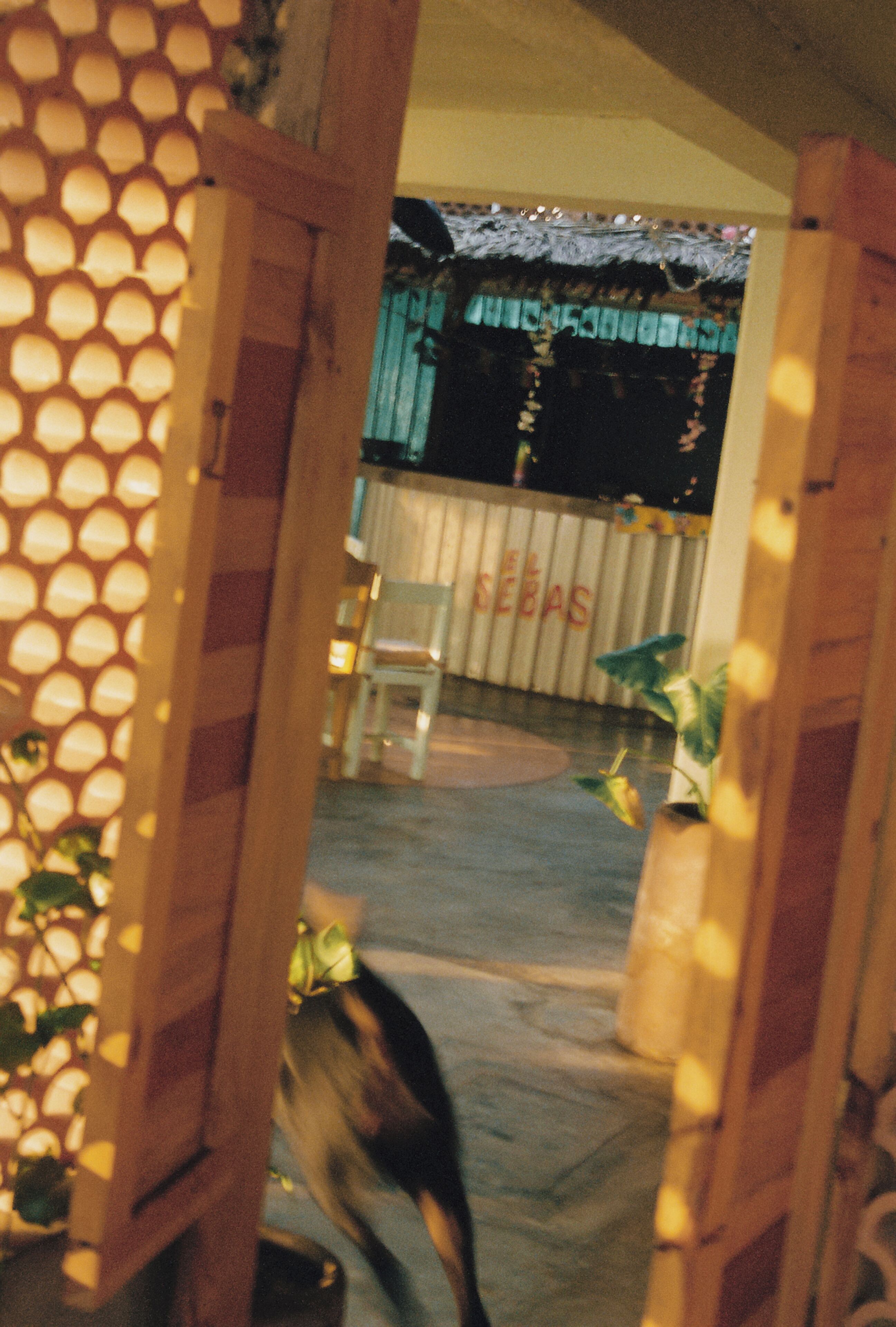 An indoor space with a wooden partition, a chair, and a potted plant.