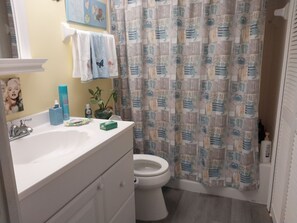 Shower, hair dryer, bidet, towels
