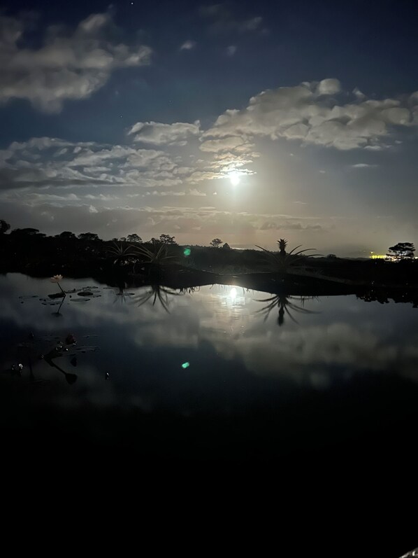 A calm body of water reflecting the sky and surrounding landscape.
