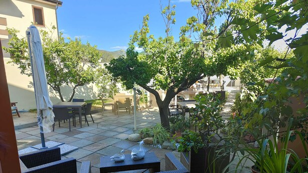 Un patio al aire libre con una mesa y sillas, rodeado de plantas en macetas y árboles.