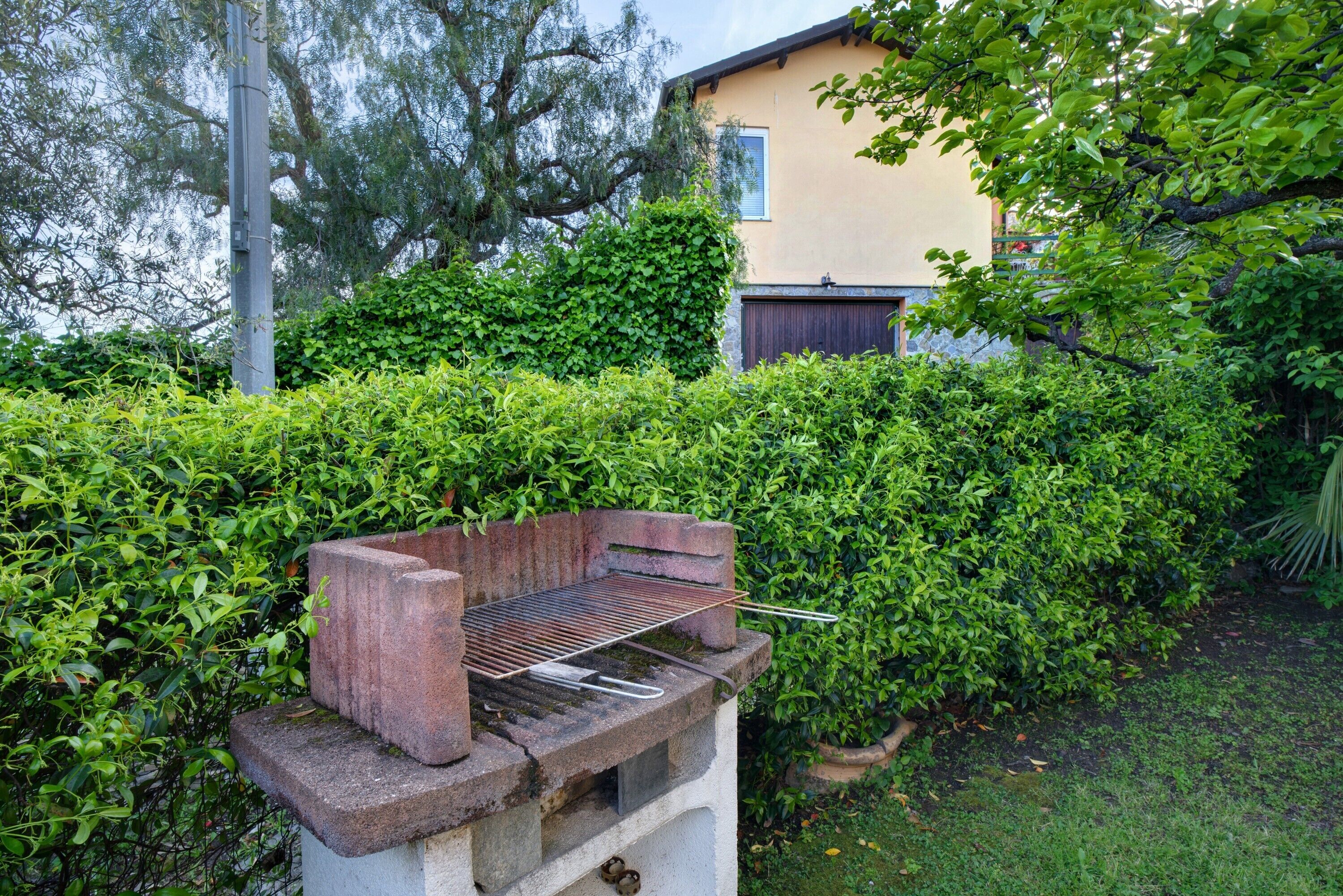 A concrete barbecue grill in a garden with dense green hedges and a building in the background.