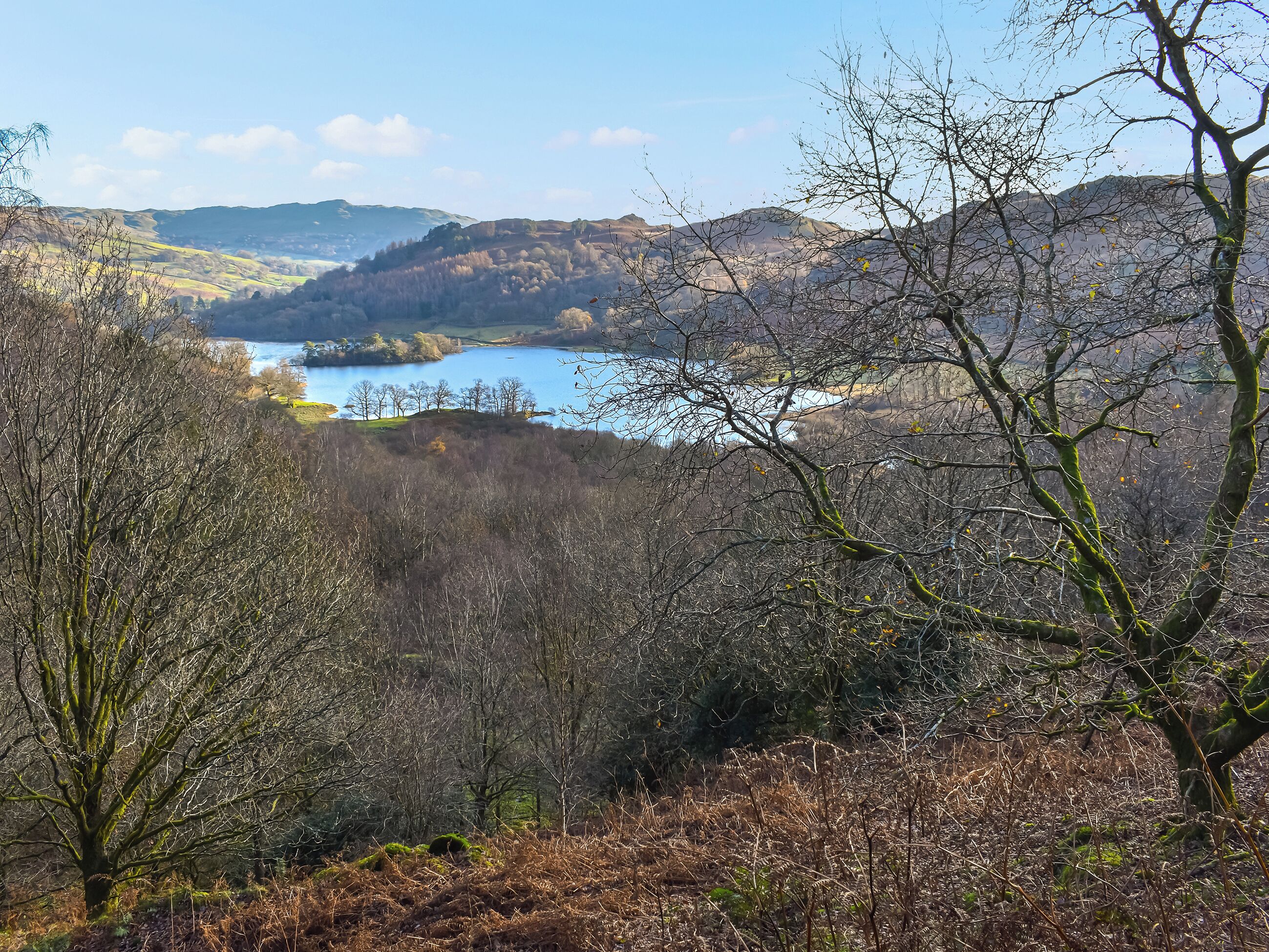 Un paysage montagneux avec un lac et une zone boisée.
