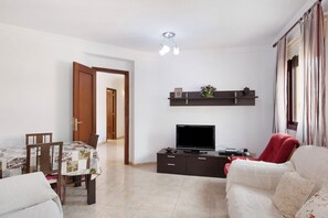 تلفزيون، مشغل دي في دي