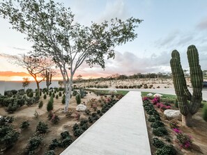 Property grounds - Luxury Community Querencia in Cabo, Parque Section Villa with pool (San José del Cabo)
