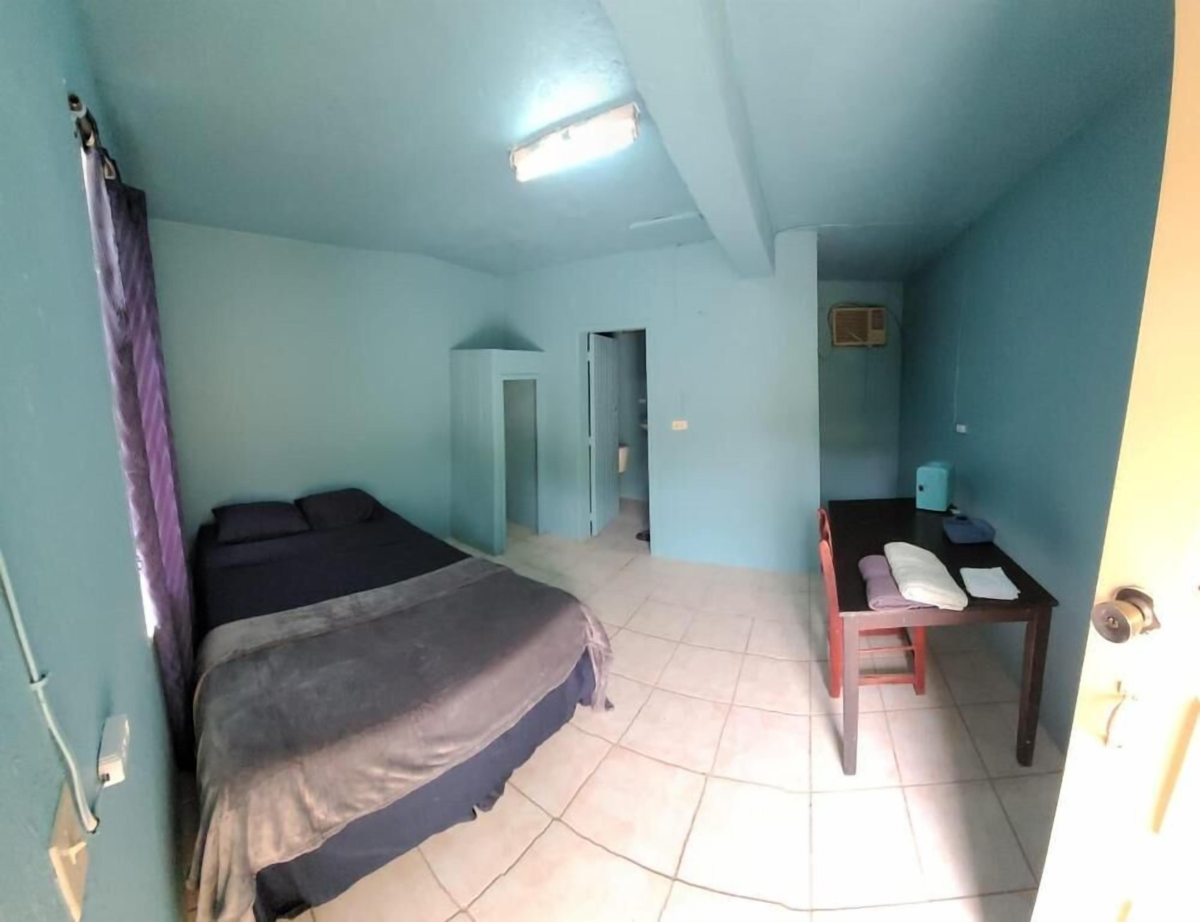 A room with a bed, a desk, and a door.